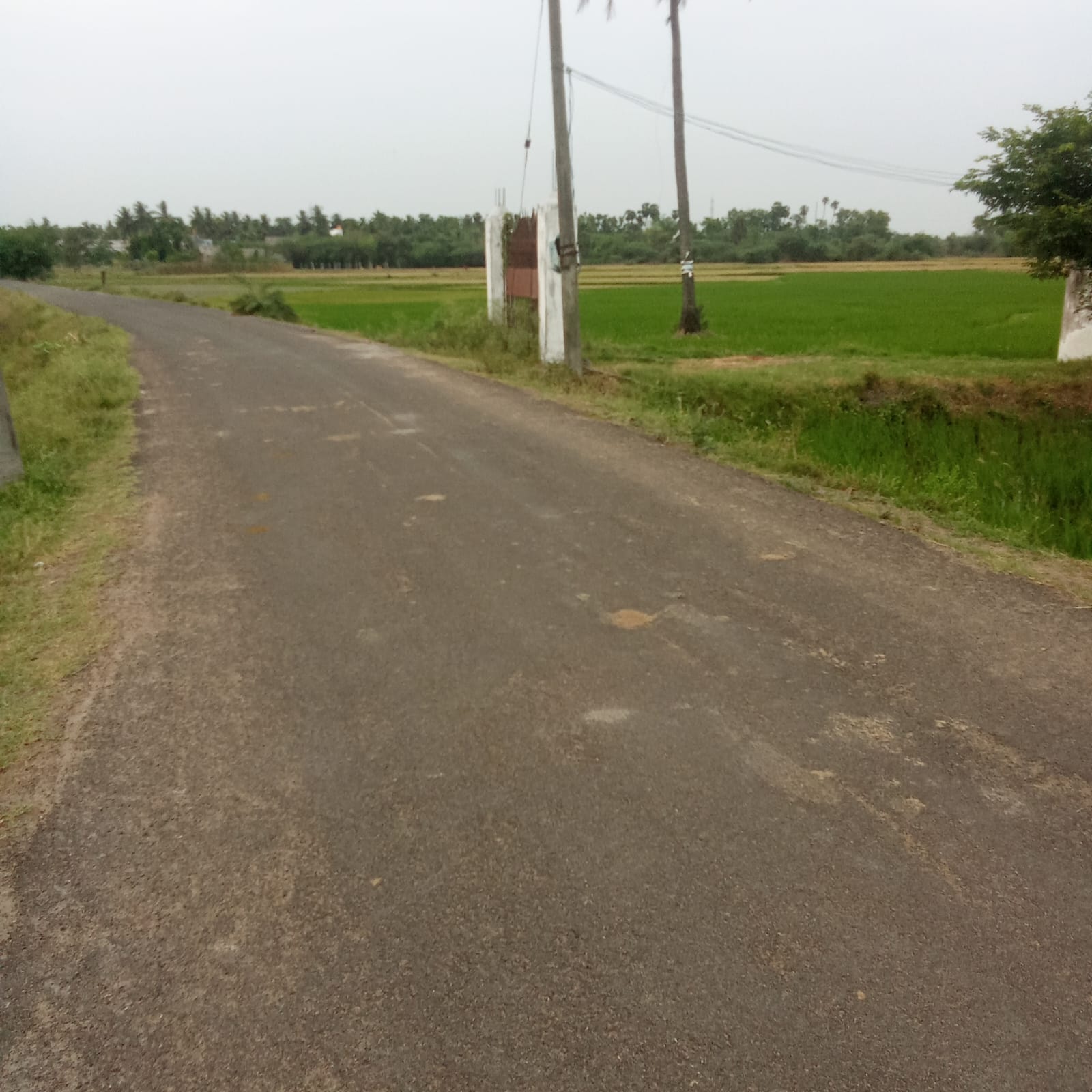 Vacant land sale in Kanchipuram